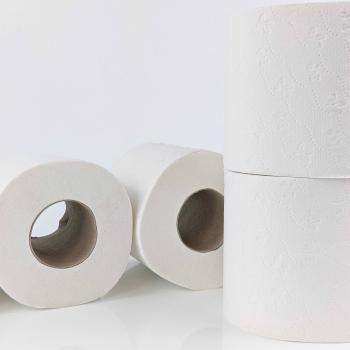 Toilettenpapier 3-lagig 250 Blatt Recycling Hochweiß Palette 2.112 Rollen